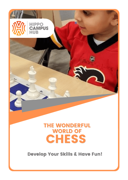 The Wonderful World of Chess